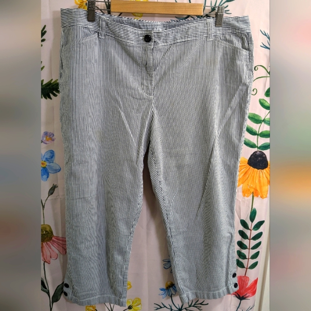 Ann Taylor Loft Original cropped pants
